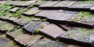 Yaxley roof repair costs